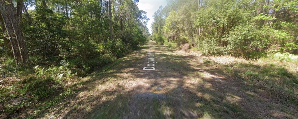 423 DOGWOOD AVENUE, GEORGETOWN, FL — photo 3 of 9