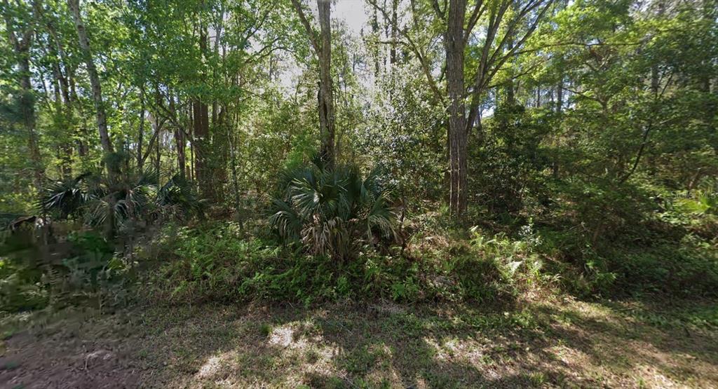 423 DOGWOOD AVENUE, GEORGETOWN, FL — photo 4 of 9