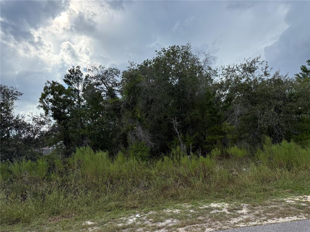11023 WREN ROAD, BROOKSVILLE, FL — photo 2 of 15