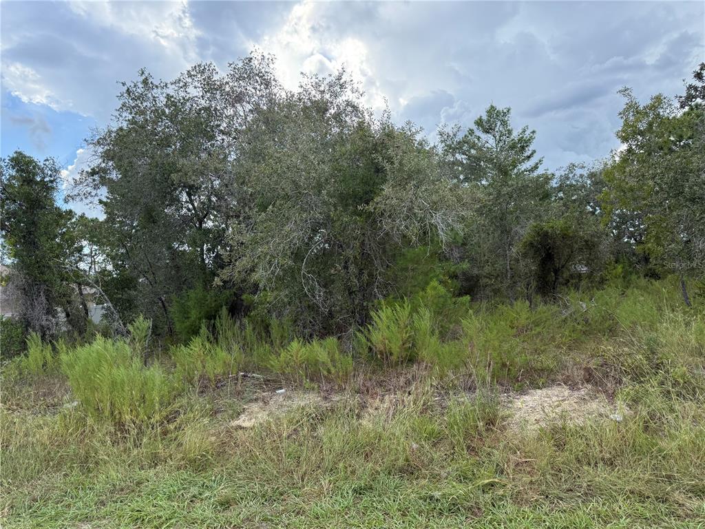 11023 WREN ROAD, BROOKSVILLE, FL — photo 3 of 15