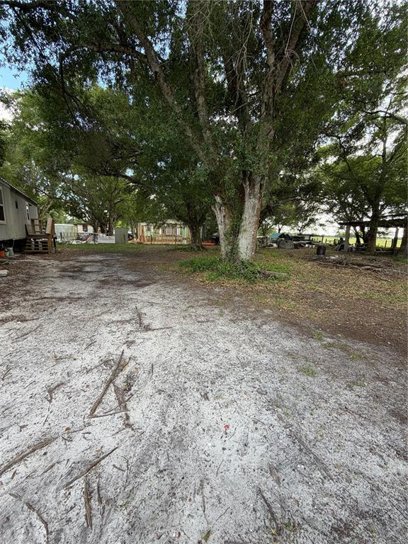 A sandy, unpaved yard features several large, mature trees and a mobile home nearby — 1059 NE SUGAR BABE ROAD, ARCADIA, FL