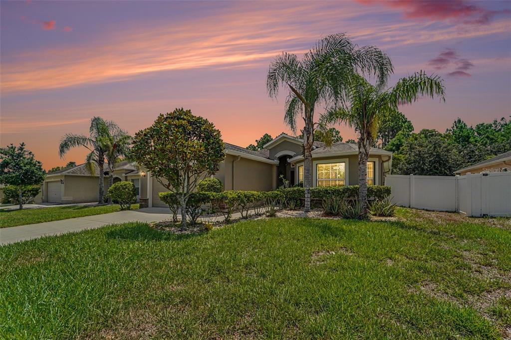 A single-story suburban house with a tan stucco exterior, palm trees, and a grassy lawn — 10048 IVES LOOP, HUDSON, FL