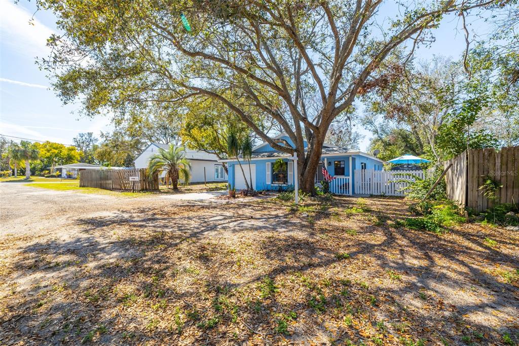 A blue single-story house with a white fence stands under a large tree — 1335 15TH STREET, PALM HARBOR, FL