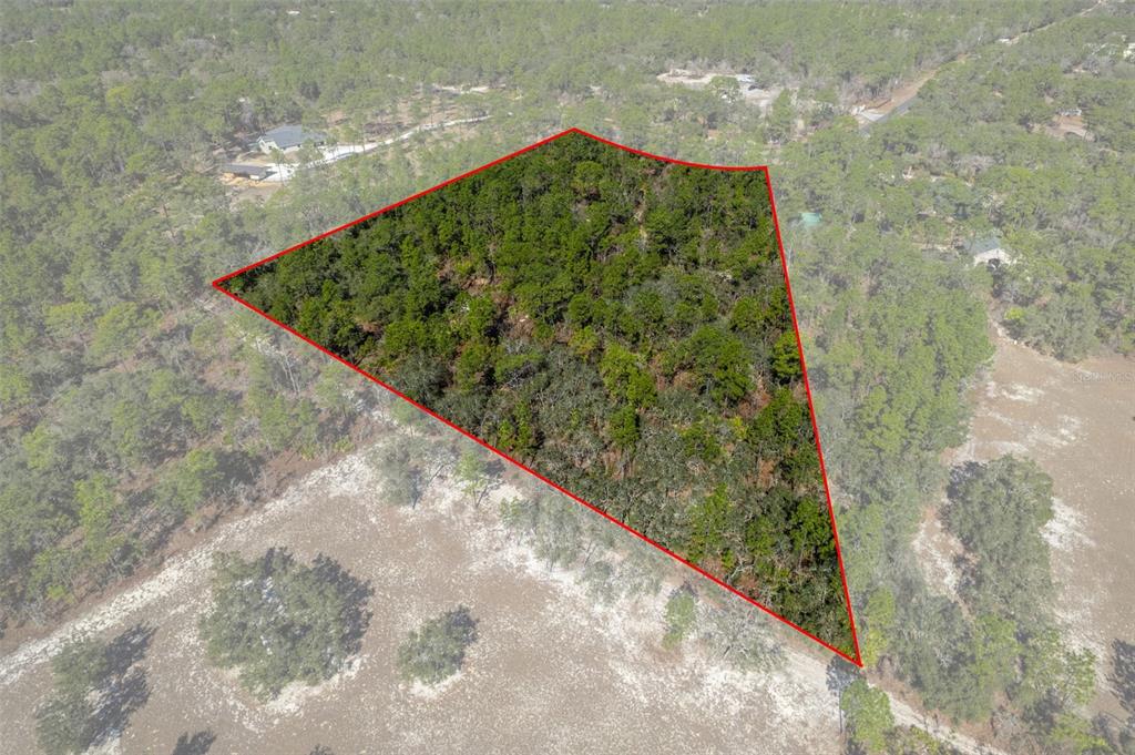 An aerial view shows a wooded, triangular-shaped plot of land outlined in red — 4976 W YEARLING DRIVE, BEVERLY HILLS, FL