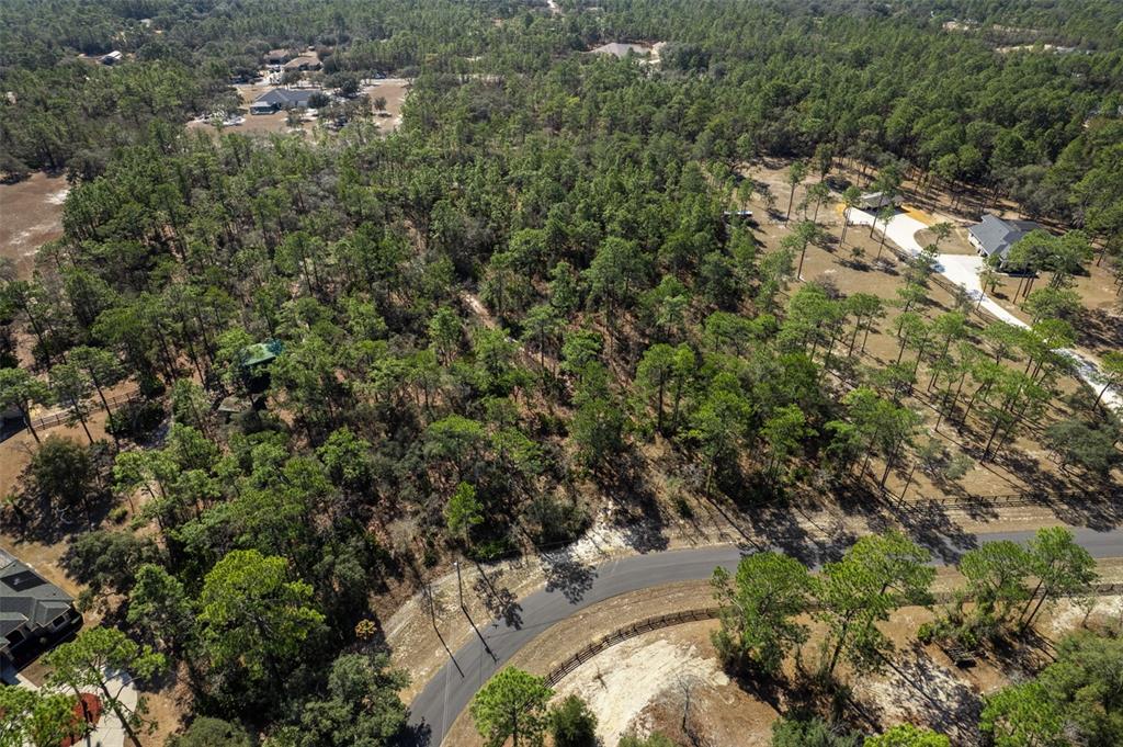 An aerial view shows a wooded residential lot bordered by a curved paved road — 4976 W YEARLING DRIVE, BEVERLY HILLS, FL