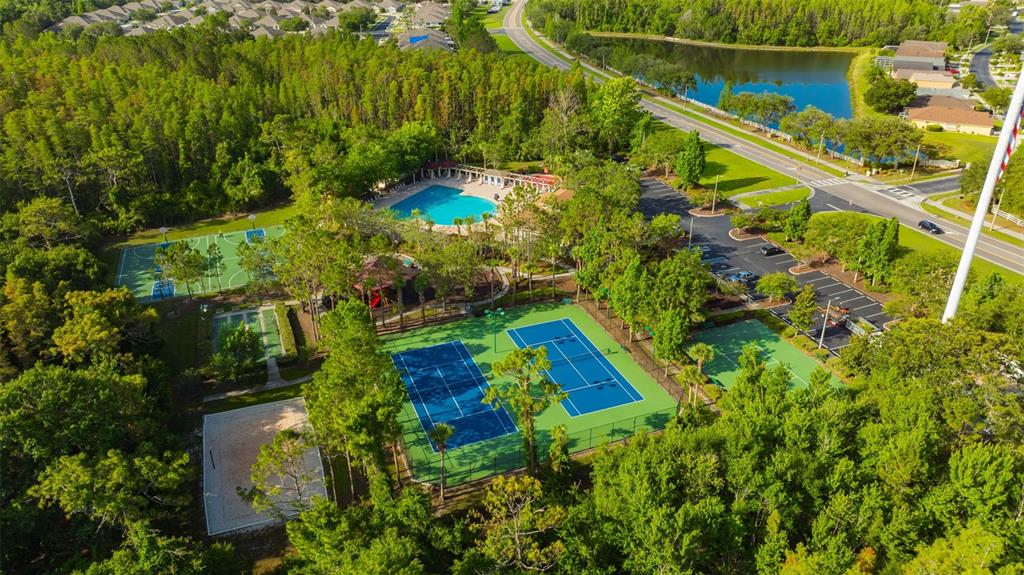 31040 PROUT COURT, WESLEY CHAPEL, FL — photo 3 of 30