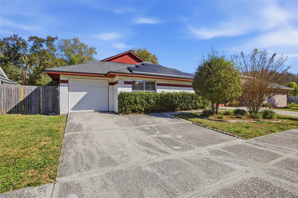 5903 BIRCHWOOD DRIVE