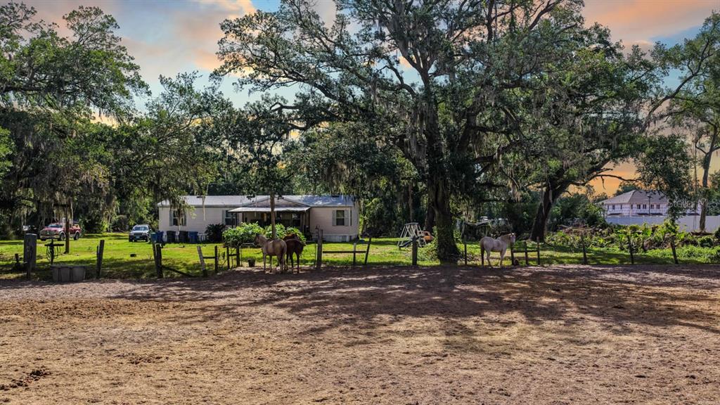 A mobile home sits on a grassy lot with horses in a fenced dirt paddock — 5614 WATSON ROAD, RIVERVIEW, FL