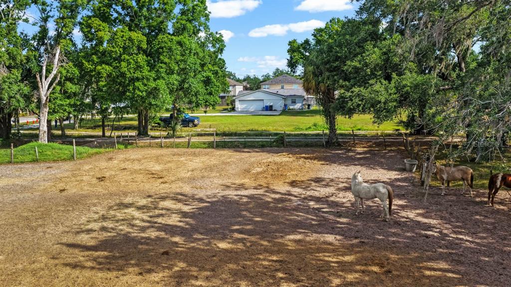 A dirt paddock with three horses stands in front of a house and trees — 5614 WATSON ROAD, RIVERVIEW, FL