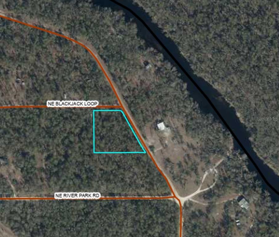 An aerial map shows a vacant, wooded lot outlined in blue near a river — NE TIMBER RIVER LOOP, LEE, FL