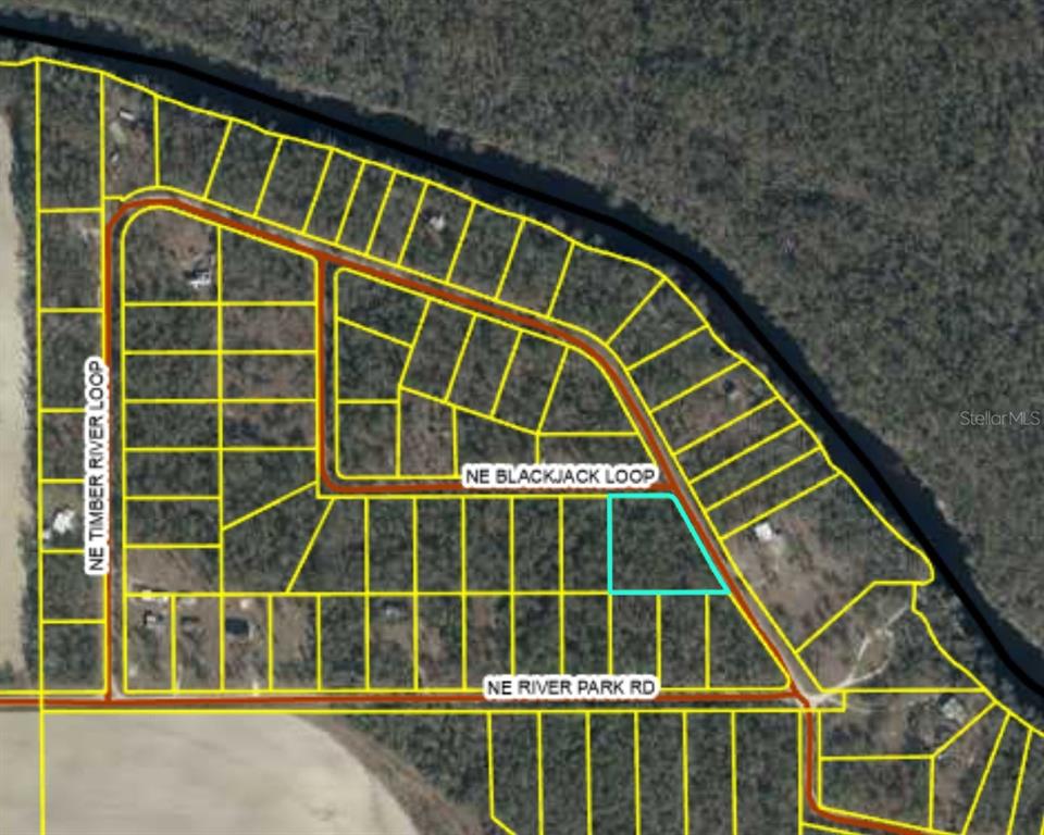 This is an aerial map showing a highlighted parcel of land within a residential subdivision — NE TIMBER RIVER LOOP, LEE, FL