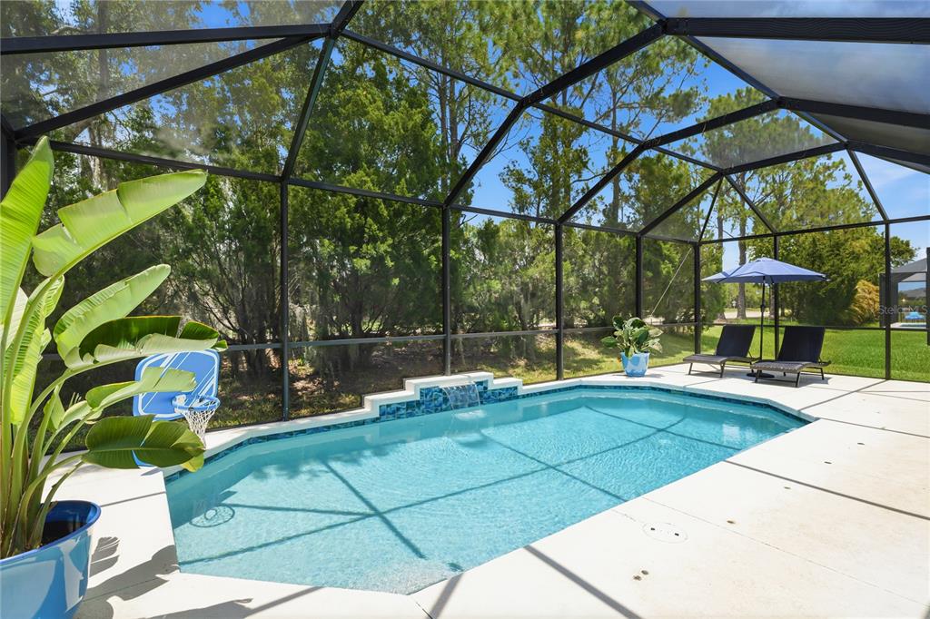 A screened-in swimming pool with a water feature, lounge chairs, and a basketball hoop — 12731 RAINWASHED LOOP, PARRISH, FL