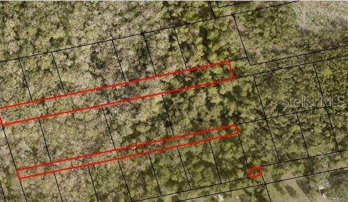 An aerial map shows several rectangular land parcels outlined in red against a wooded background — 2313 US HIGHWAY 1, MIMS, FL