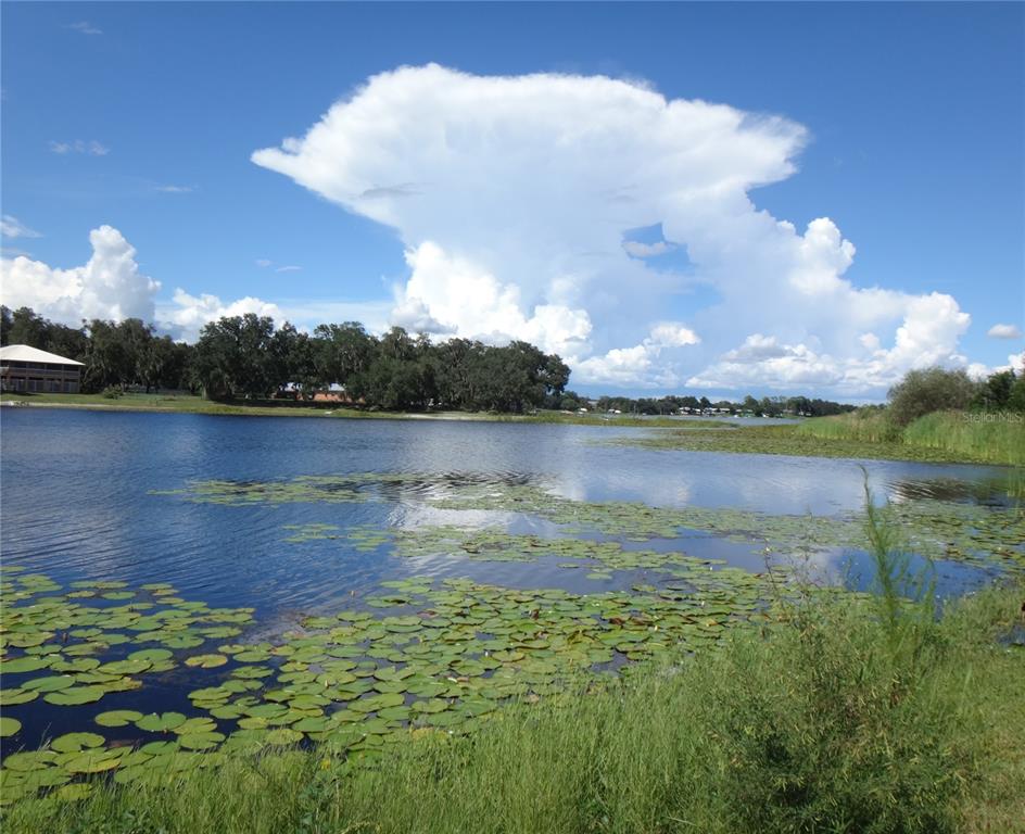 ARCHAIC DRIVE, WINTER HAVEN, FL — photo 2 of 10