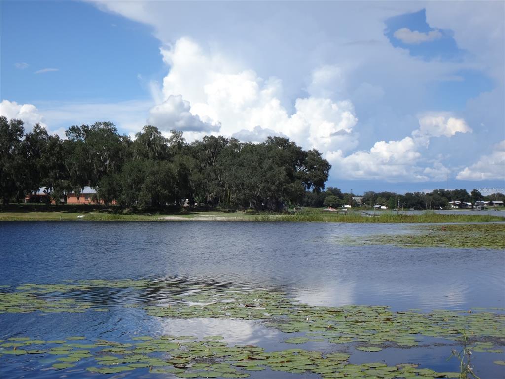 ARCHAIC DRIVE, WINTER HAVEN, FL — photo 3 of 10