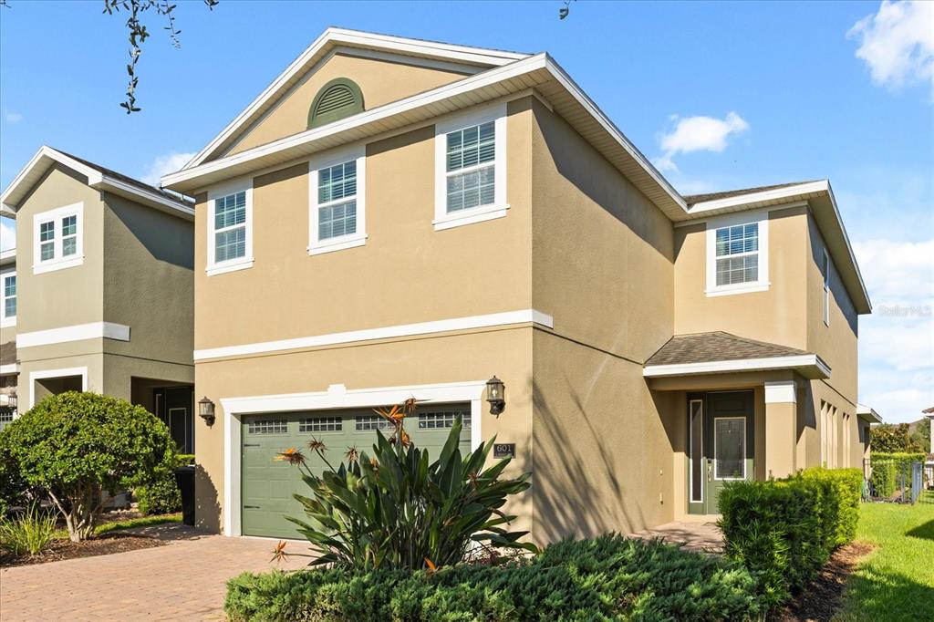 601 LASSO DRIVE
