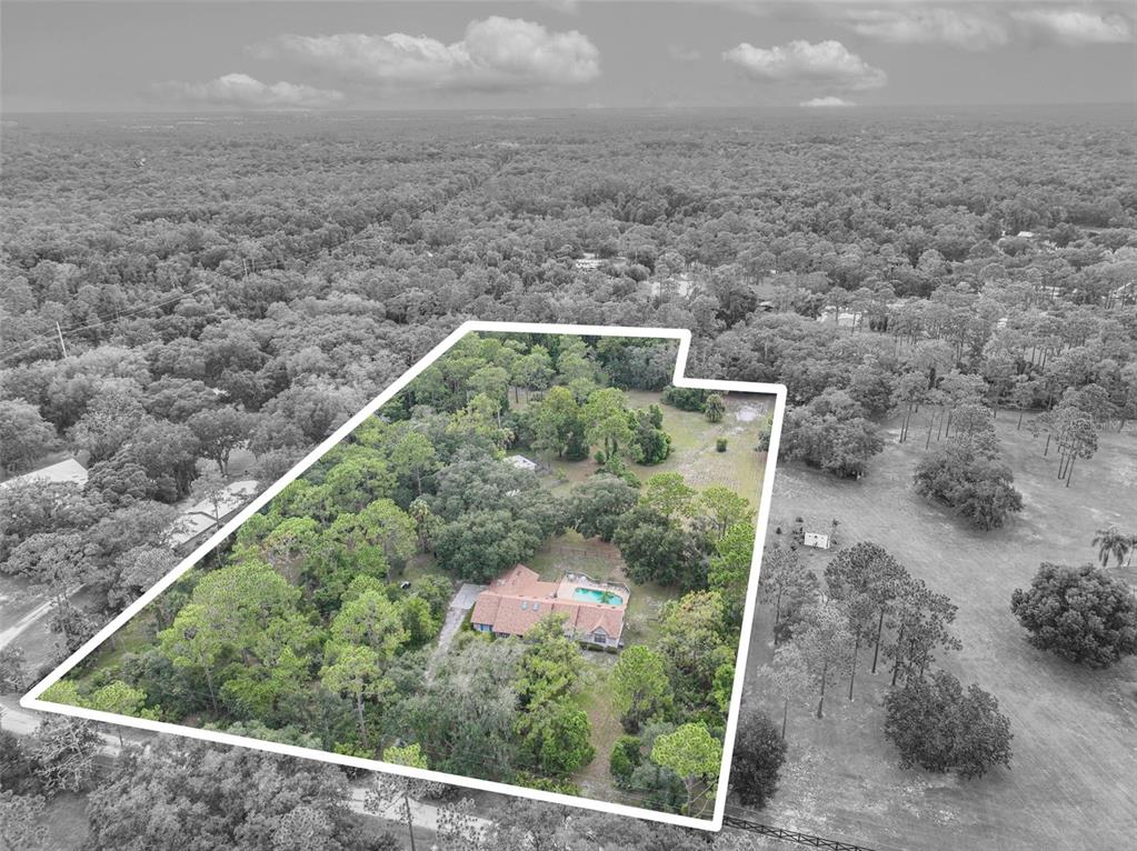 An aerial view shows a house with a swimming pool on a large, wooded lot — 2968 S TANNER ROAD, ORLANDO, FL