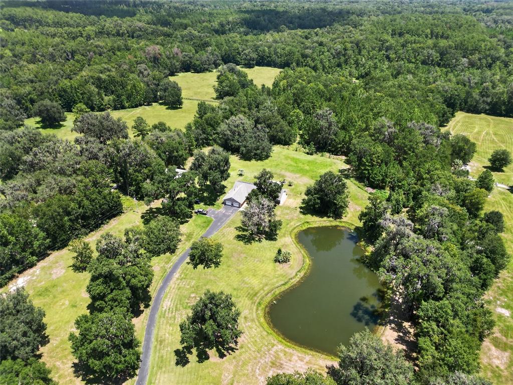 A swimming pool sits on a concrete patio in front of a stone-accented house exterior — 19785 NW 123RD COURT, MICANOPY, FL