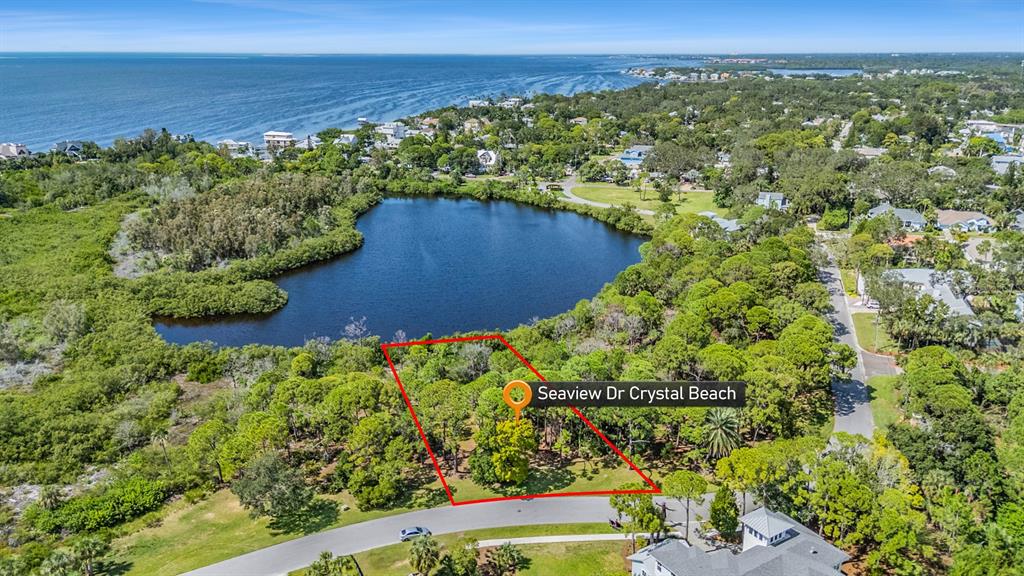 An aerial view shows a vacant, wooded lot situated near a lake and the coast — SEAVIEW DRIVE, CRYSTAL BEACH, FL