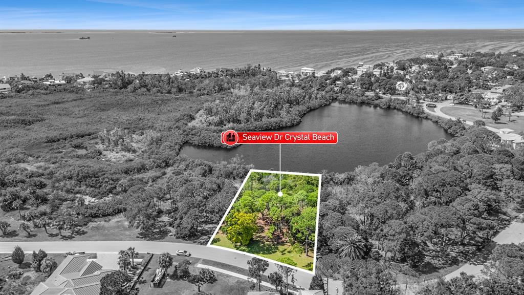 An aerial view shows a wooded lot bordered by a road and a small lake — SEAVIEW DRIVE, CRYSTAL BEACH, FL