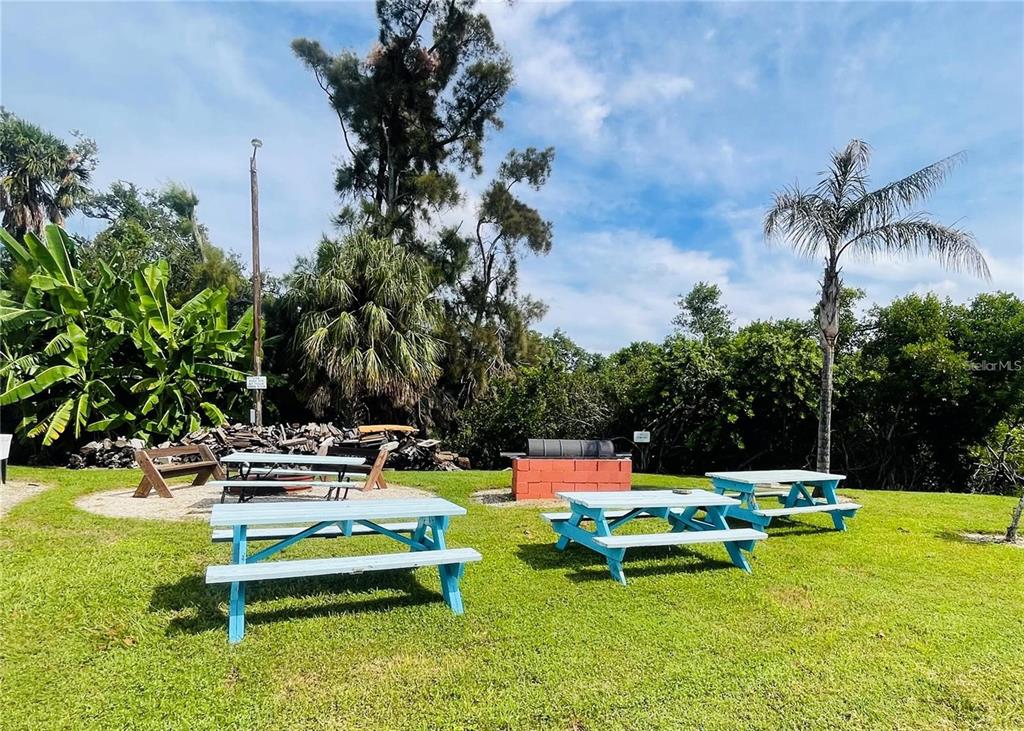 A grassy outdoor area features several blue picnic tables and a brick charcoal grill — 160 NEW YORK STREET, PALMETTO, FL