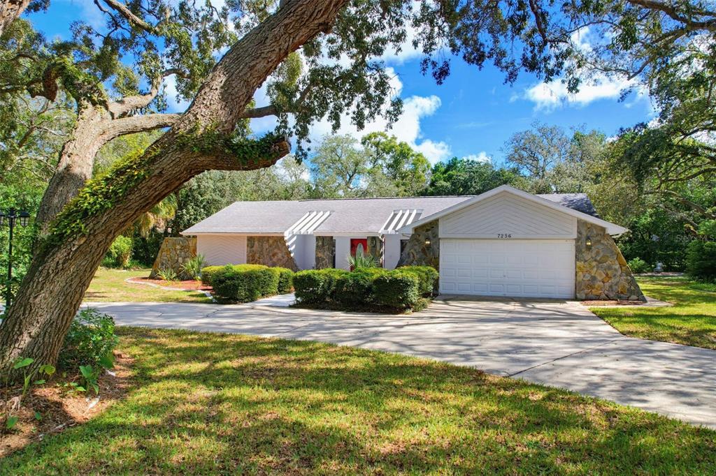 7256 ROYAL OAK DRIVE, SPRING HILL, FL — photo 2 of 30