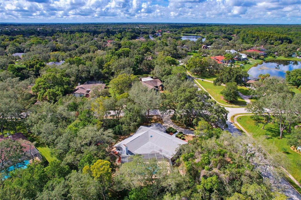 7256 ROYAL OAK DRIVE, SPRING HILL, FL — photo 4 of 30
