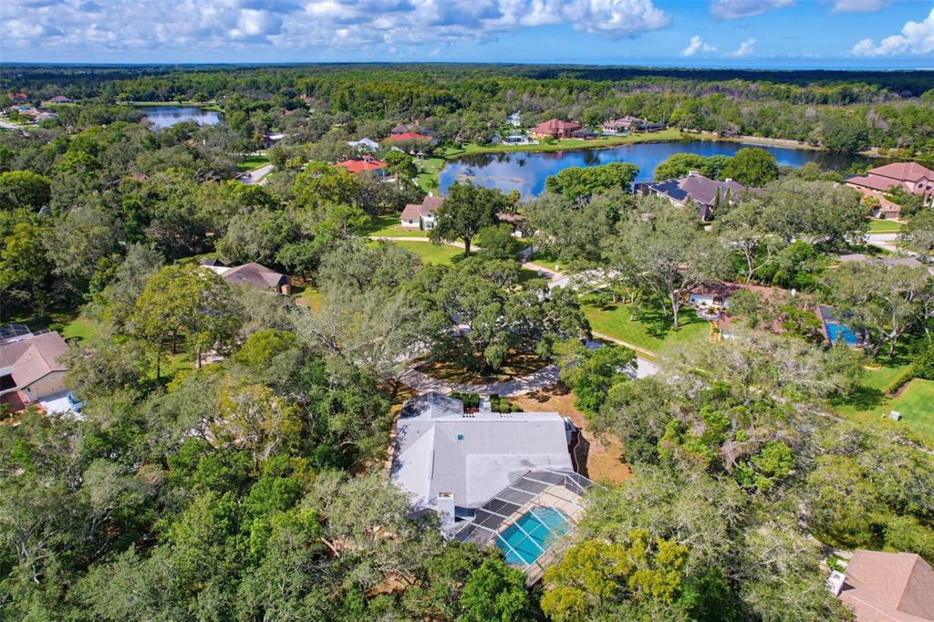 7256 ROYAL OAK DRIVE, SPRING HILL, FL — photo 5 of 30