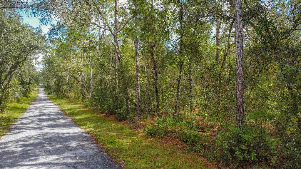 A gravel road stretches into a dense, wooded area with tall trees and green foliage — 3210 E MICHAEL STREET, INVERNESS, FL
