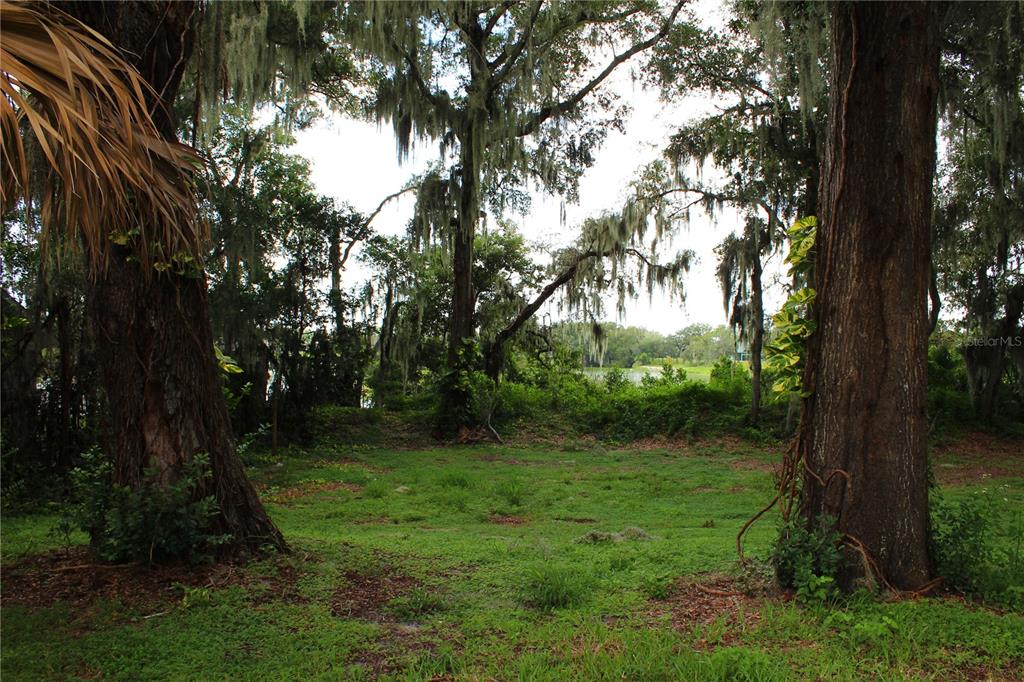 850 HANOVER WAY, LAKELAND, FL — photo 4 of 99