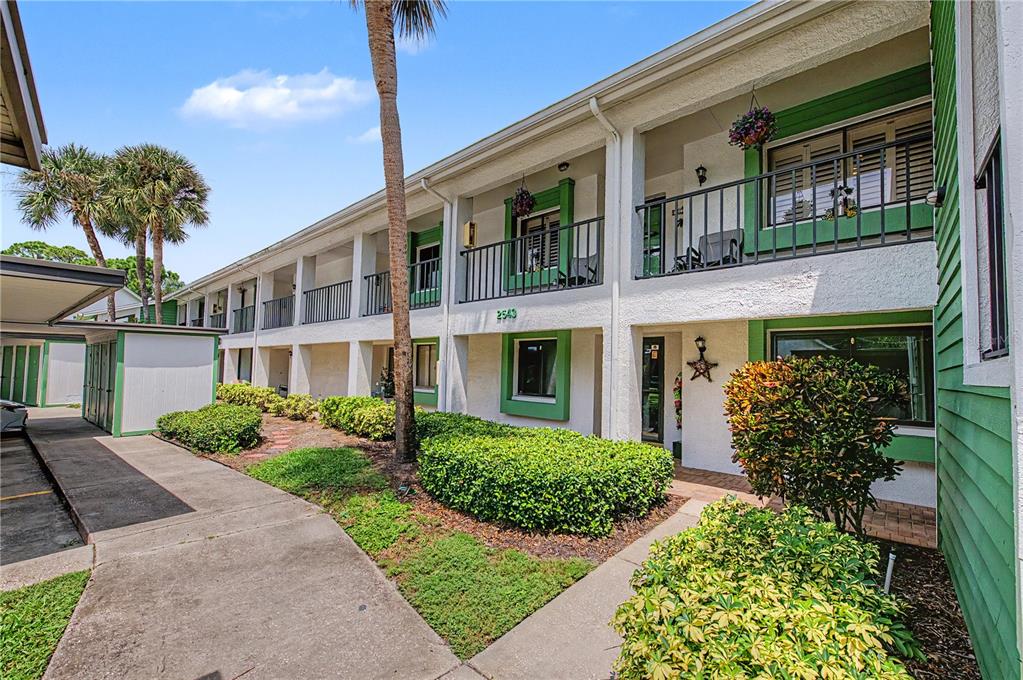 A multi-story apartment building exterior with green trim, a concrete walkway, and landscaped bushes — 2543 ROYAL PINES CIRCLE UNIT 17K, CLEARWATER, FL