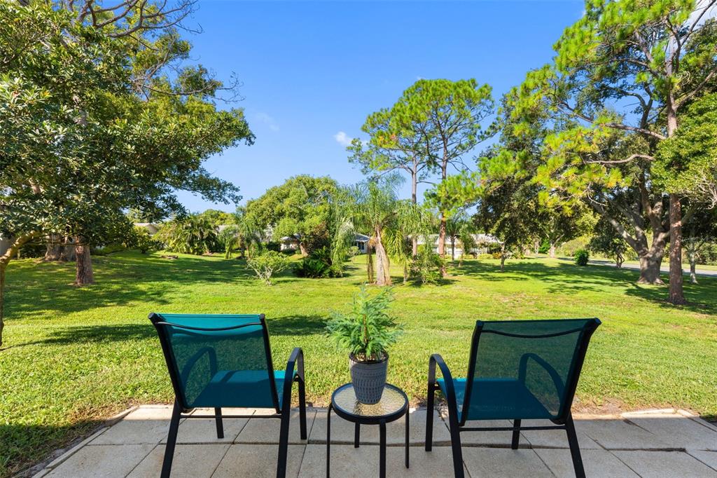 1681 MACDONNELL COURT, PALM HARBOR, FL — photo 3 of 38