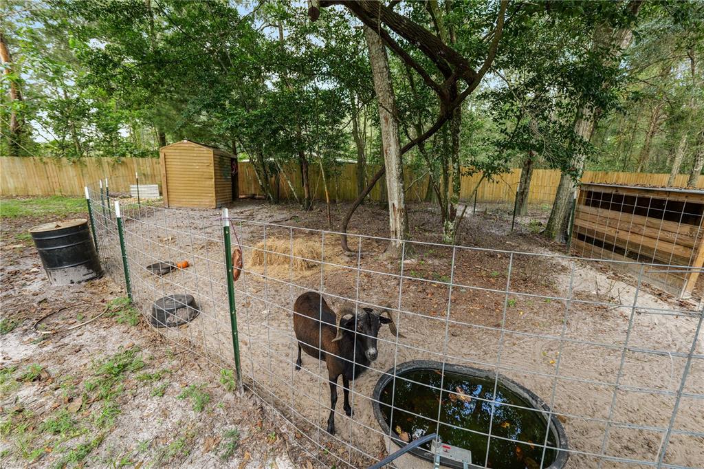 14321 SORREL STREET, BROOKSVILLE, FL — photo 4 of 30