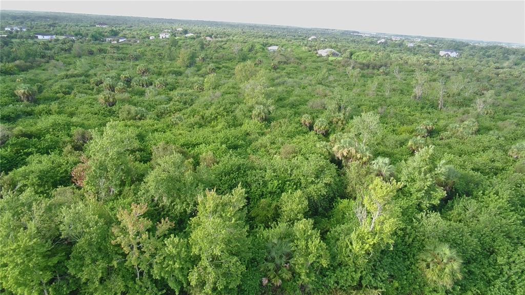 An aerial view shows a dense, green wooded lot with scattered houses in the distance — 700 SHADY HOLLOW BOULEVARD W, NAPLES, FL