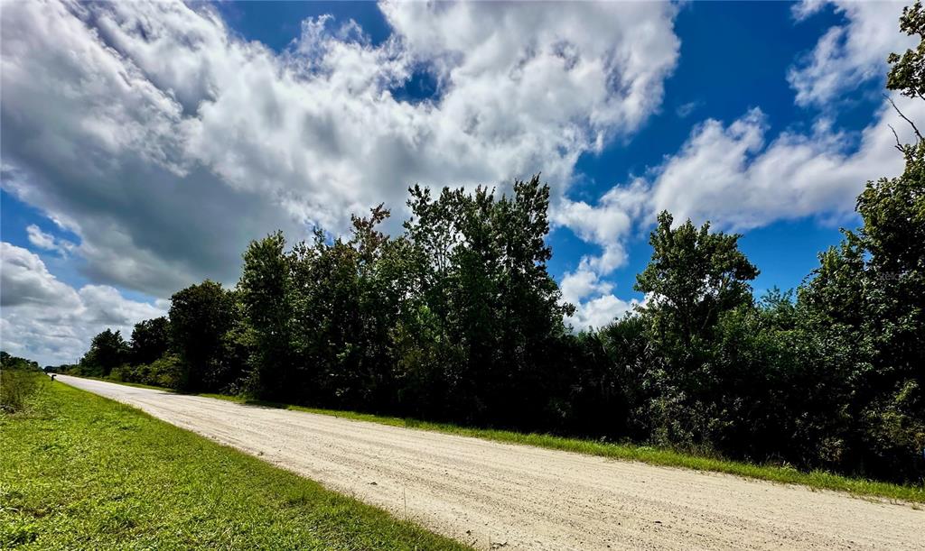 A dirt road runs alongside a line of trees under a blue, cloudy sky — 700 SHADY HOLLOW BOULEVARD W, NAPLES, FL
