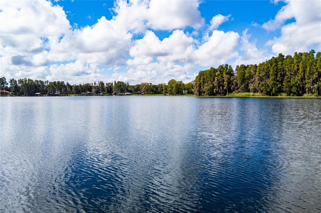 2963 LAKE SAXON DRIVE, LAND O LAKES, FL — photo 2 of 89