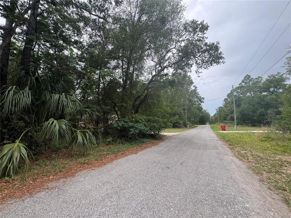A paved road runs through a wooded area with a red trash bin on the right — 3462 E MICHAEL STREET, INVERNESS, FL