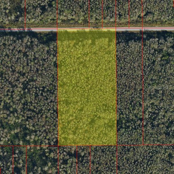 This is an aerial view of a rectangular, wooded parcel of land bordering a road — 64TH AVE NE, NAPLES, FL