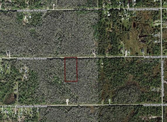 An aerial map shows a rectangular plot of land outlined in red near a road — 64TH AVE NE, NAPLES, FL