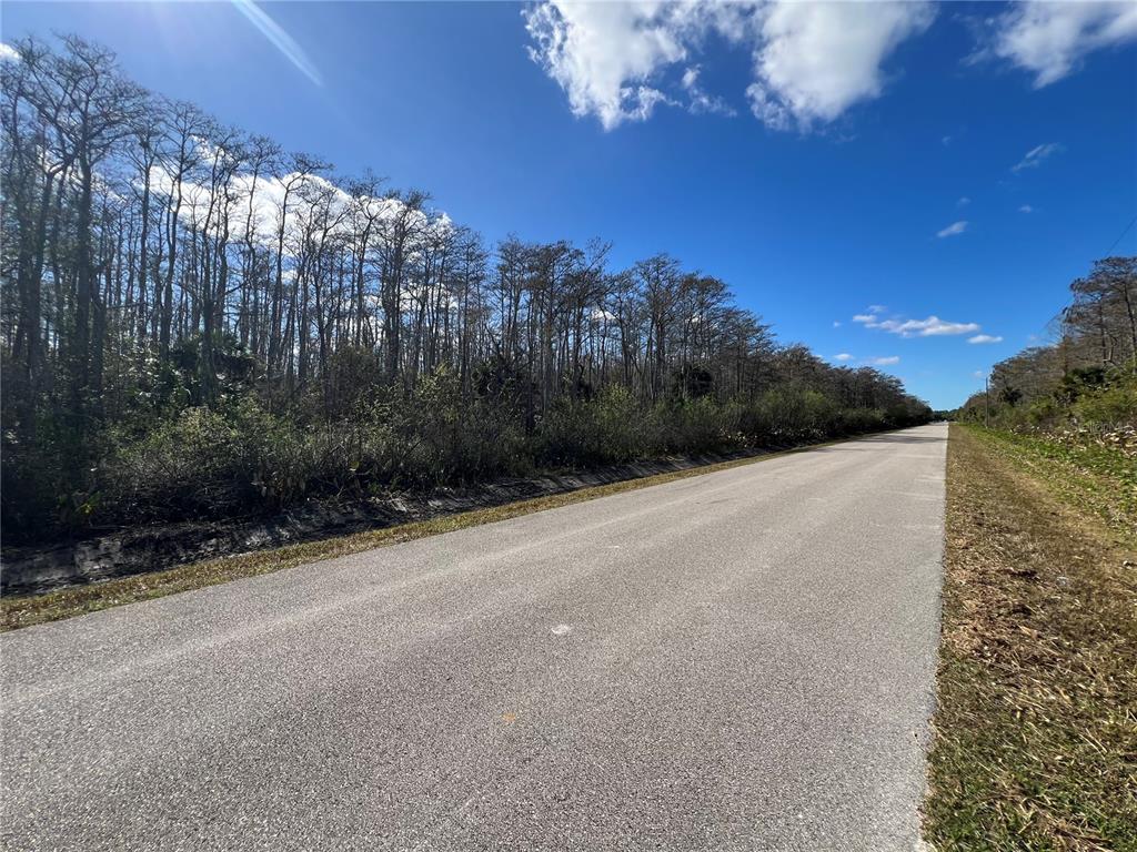 A paved road runs alongside a dense forest of tall, leafless trees under a blue sky — 64TH AVE NE, NAPLES, FL