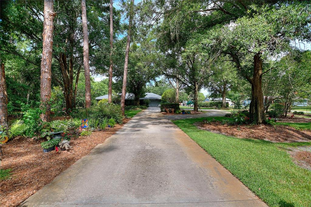 A long concrete driveway leads through a wooded yard toward a house in the distance — 7 LAKE ARROWHEAD DRIVE, WINTER HAVEN, FL