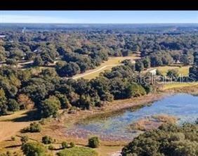 An aerial view shows a pond surrounded by dense trees and open grassy fields — 160TH, WEIRSDALE, FL