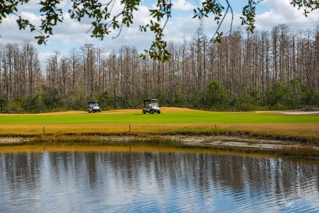 Two golf carts drive on a green course beside a pond with trees behind — 20520 HOMOSSASA COURT, LAND O LAKES, FL