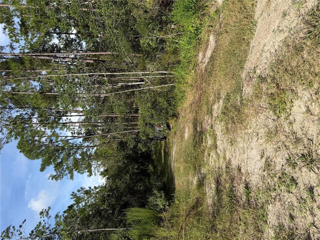 10TH AVENUE, DELAND, FL — photo 2 of 2