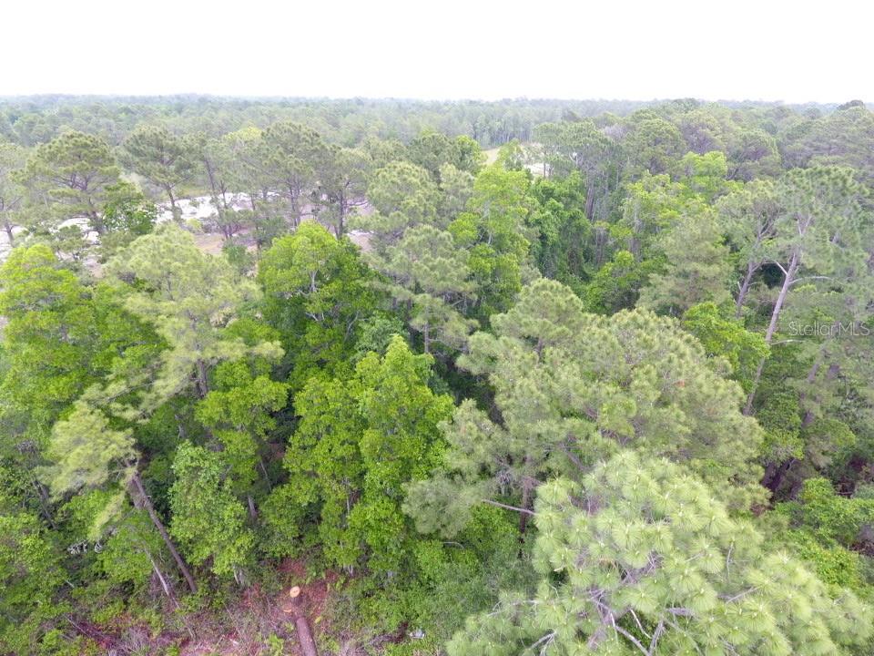 An aerial view shows a dense forest with a mix of pine and deciduous trees — 161 SNAKE HILL ROAD, CRESCENT CITY, FL