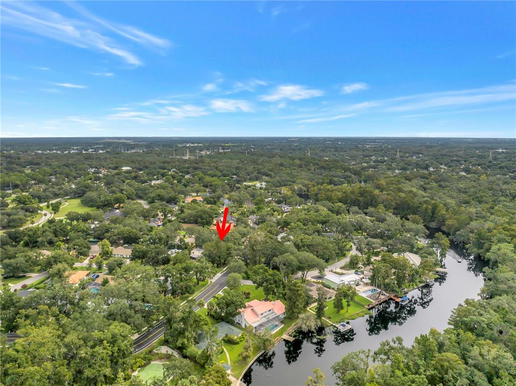 1116 N RIVERHILLS DRIVE, TEMPLE TERRACE, FL — photo 4 of 30