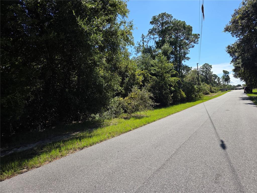 A paved road runs alongside a dense, wooded lot under a clear blue sky — DEER ROAD, FROSTPROOF, FL