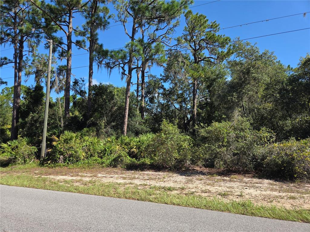 A view of a wooded, undeveloped plot of land bordering a paved road — DEER ROAD, FROSTPROOF, FL