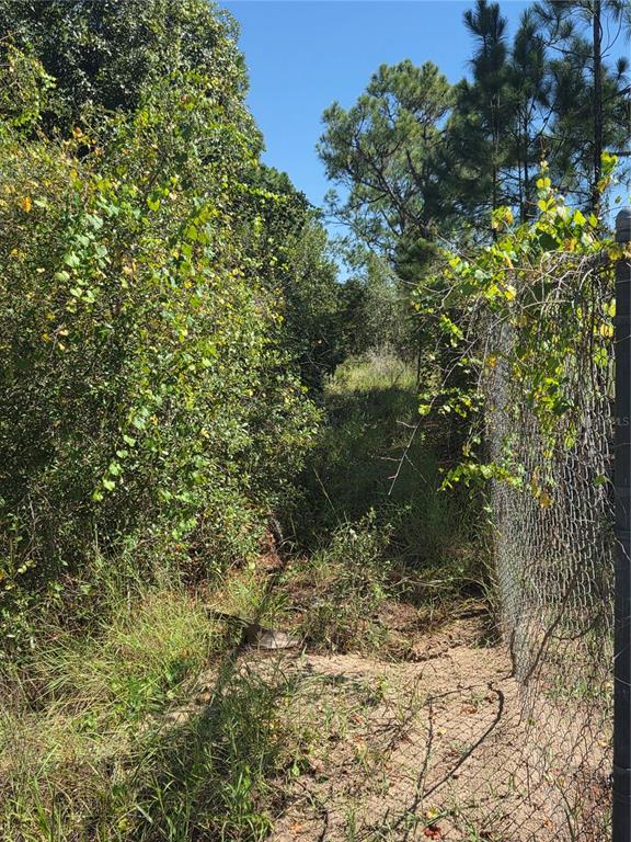 A chain-link fence runs along the right side of a path through overgrown brush — DEER ROAD, FROSTPROOF, FL