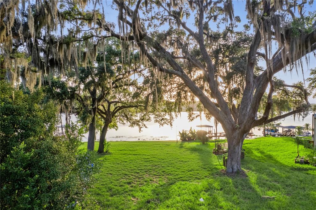A grassy backyard with large oak trees draped in Spanish moss overlooking a lake — E CROOKED LAKE DRIVE, EUSTIS, FL